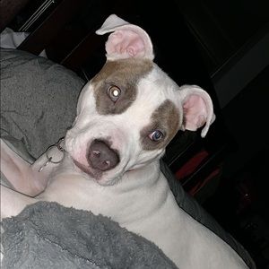 Meet your Posher, Mia